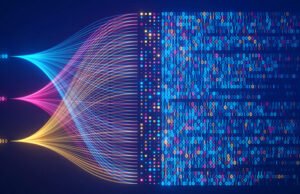 How to leverage data to improve your business