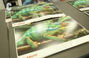 How to achieve sustainable success in Corrugated Inkjet Printing